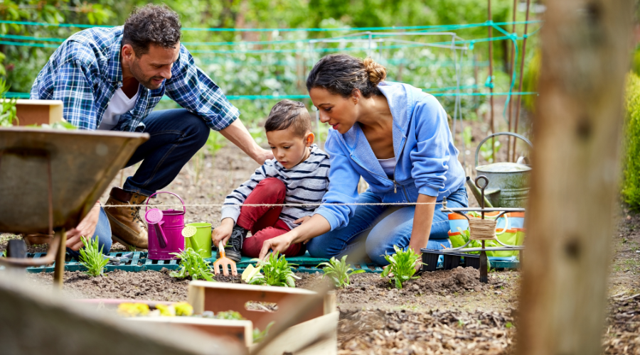 Eco-friendly habits - gardening