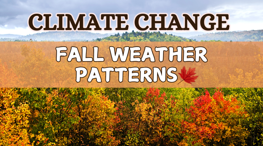 Weather In Fall Climate Change Reshapes Fall: Warm Temp Alters Autumn Weather Patterns